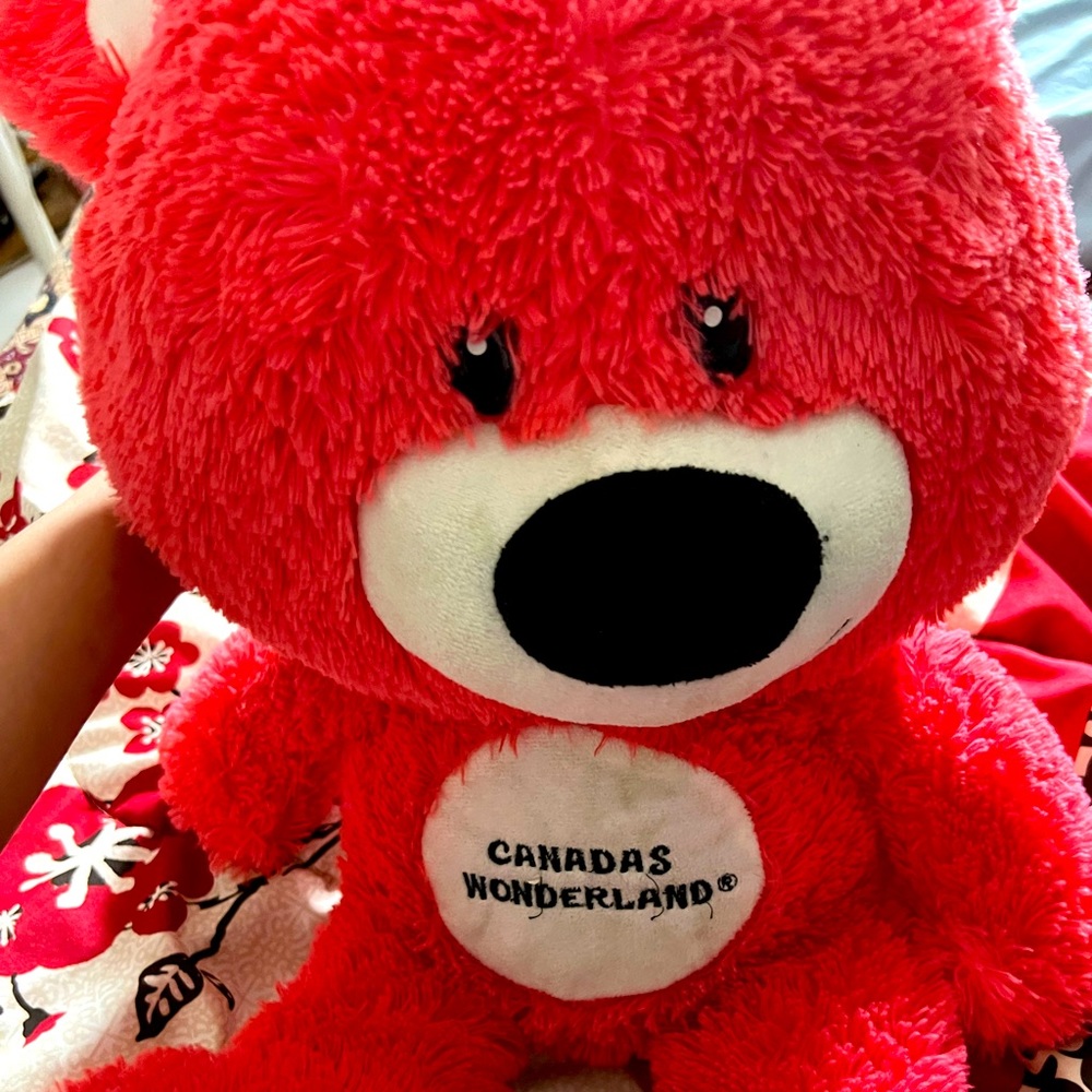 Beautiful soft teddy bear
